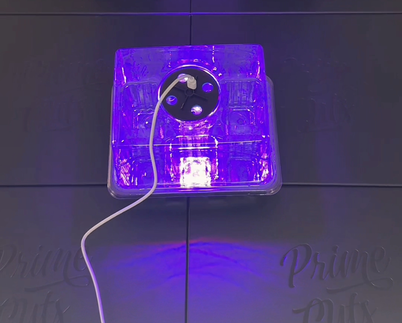 Mini-Gewächshaus mit LED